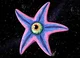 Starro 