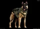 Riley perro 