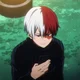 Shoto Todoroki - MHA