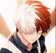 Shoto Todoroki