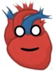 Heart-Human Buddy