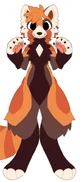 Red panda furry