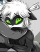 Cat Noir