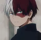 Shoto Todoroki