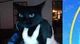 Caseoh kitty
