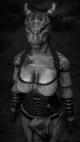 Argonian Maid