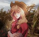 Applejack-MLPHumanAU