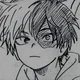 Shoto Todoroki 