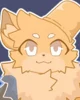 Catte