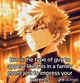 Katsuki bakugou 