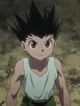Gon