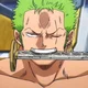 Zoro Roronoa