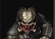 predator