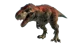 T Rex