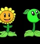 Sunflower Peashooter