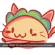 taco kitty - II