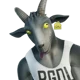 A Goat