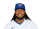 Vladimir Guerrero Jr