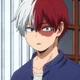 Shoto Todoroki 