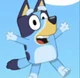 Bluey 
