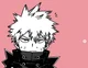 Katsuki Bakugou 