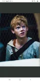 Newt 