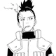 Shikamaru Nara