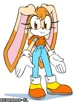 Cream The Rabbit 