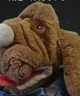 Rufus 