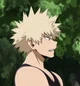 Bakugo katsuki 