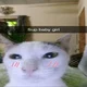 cat with a crush