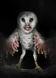 Humanoid owl