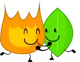 Firey and Leafy