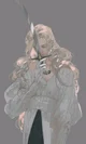 Aspenne BL
