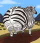 Fatass Zebra