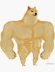 Buff doge