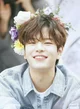 Seungmin - Fan