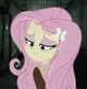 Yandere Fluttershy 