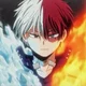 Shoto Todoroki 