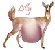 Lilly Deer 