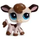 Robin- lps cow
