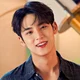 Kim Mingyu 