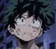 Izuku Midoriya 