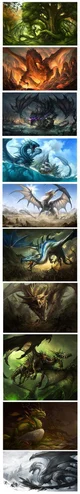 Dragons