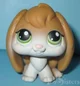 Milo- lps bunny