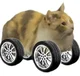 Gato con ruedas 