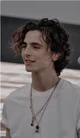 Thimothee Chalamet 