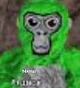 Namo Gorilla Tag