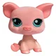 Sherwin-lps pig