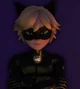Chat Noir Ladybug